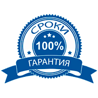 100% ГАРАНТИЯ ВЫПОЛНЕНИЯ ПОСТАВЛЕННЫХ СРОКОВ